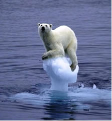 Consequências do Aquecimento Global Consequências do Aquecimento Global