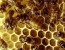 O mel de abelha