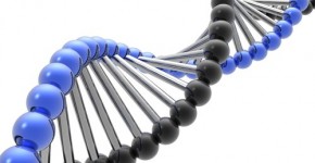 DNA Genetica Molecular